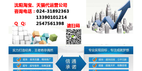 沈陽電商代運營 一站式解決方案助力企業(yè)電子商務(wù)騰飛